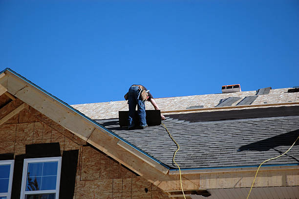 Best Green or Eco-Friendly Roofing Solutions  in Palestine, IL