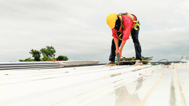 Fast & Reliable Emergency Roof Repairs in Palestine, IL