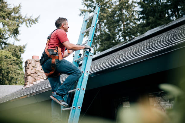 Best Gutter Installation and Repair  in Palestine, IL